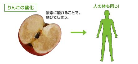 りんごの酸化