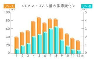 UV-A UV-B 量の季節変化