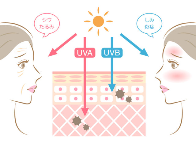 uv-a波とuv-b波の肌への影響